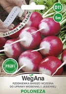 Nasiona i cebule - Rzodkiewka Poloneza nasiona na taśmie 6 m - WegAna - miniaturka - grafika 1