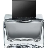 Wody i perfumy męskie - Antonio Banderas Seduction in Black For Men woda toaletowa spray 100ml - - miniaturka - grafika 1