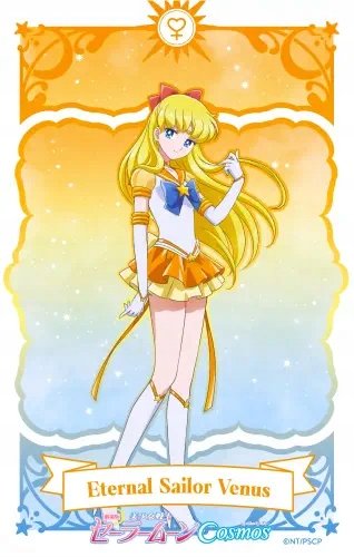 Plakat Anime Bishoujo Senshi Sailor Moon BSSM_178 A3 Custom Manga