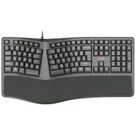Klawiatury - Klawiatura C-Tech Ergo KB-113E, CZ/SK Layout (KB-113E) Czarna - miniaturka - grafika 1
