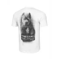 Koszulki sportowe męskie - Pit Bull T-Shirt Mugshot II White - miniaturka - grafika 1