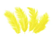 Dekoracje i nakrycia stołu na imprezę - Piórka dekoracyjne żółte długie - 50 szt. - miniaturka - grafika 1