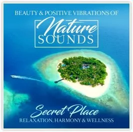 ZYX Music Nature Sounds: Secret Place - Muzyka relaksacyjna - miniaturka - grafika 1