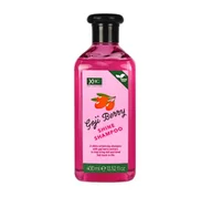 Szampony do włosów - XPEL XHC GOJI BERRY NABŁYSZCZAJĄCY SZAMPON DO WŁOSÓW 400ML - miniaturka - grafika 1