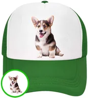 Czapki i chusty sportowe męskie - CZAPKA Z DASZKIEM PSY PIES PIESKI DLA DZIECI SIATKA ZIELONA BEJSBOLÓWKA - miniaturka - grafika 1