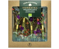 Herbata - SŁONECZNA POLANA- herbatka liofilizowana - 5sztuk DARY NATURY - miniaturka - grafika 1