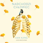 Audiobooki - literatura piękna - Nadchodzi chłopiec - miniaturka - grafika 1