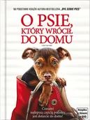 Kino familijne DVD - IMPERIAL CINEPIX O psie, który wrócił do domu (DVD) + Książka - miniaturka - grafika 1