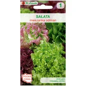 Nasiona i cebule - Sałata mieszanka odmian nasiona W. Legutko - miniaturka - grafika 1