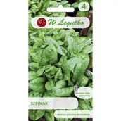 Nasiona i cebule - Legutko Szpinak Asta 10g st - miniaturka - grafika 1