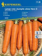 Nasiona i cebule - Marchew LANGE ROTE STUMPLE OHNE HERZ późna odmiana nasiona Kiepenkerl - miniaturka - grafika 1