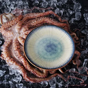 Fine Dine TALERZ Z WYSOKIM RANTEM GALAXY 21 cm PORCELANA EARTH COLOURS NIEBIESKI - Talerze - miniaturka - grafika 4