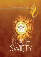 Religia i religioznawstwo - Duch Święty - miniaturka - grafika 1