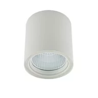 Lampy sufitowe - Italux Spot LAMPA sufitowa LUNA WG-706R/WU-WW/70 metalowa OPRAWA tuba LED 40W 3000K downlight biały WG-706R/WU-WW/70 - miniaturka - grafika 1