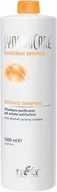 Szampony do włosów - Itely SynergiCare Dandruff szampon do włosów przeciwłupieżowy 1000ml - miniaturka - grafika 1