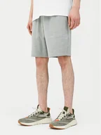 Spodenki damskie - 4F Szorty sportowe 4FWSS24TSHOM330 Szary Regular Fit - miniaturka - grafika 1
