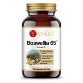 Suplementy naturalne - Yango Boswellia 65Tm 60 t Kadzidłowiec - miniaturka - grafika 1
