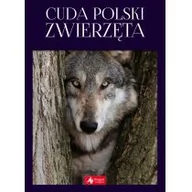 Albumy - przyroda - Cuda Polski. Zwierzęta - miniaturka - grafika 1