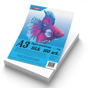 Szkolne artykuły papiernicze - Papier A3 powlekany kredowany 100 ark.350g - artykuł papierniczy - miniaturka - grafika 1