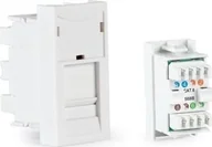 Akcesoria do komputerów stacjonarnych - Fonestar Fonestar WP-49RJ - Moduł - RJ-45 FTP Cat 6 T568B / zaciski - miniaturka - grafika 1