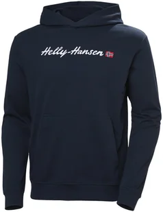 Helly Hansen męska bluza CORE GRAPHIC SWEAT HOODIE 53924 596 M - Bluzy męskie - miniaturka - grafika 1