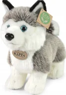 Maskotki i pluszaki - Pluszak Maskotka Piesek Husky Eco Friendly Prezent - miniaturka - grafika 1