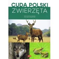 Albumy krajoznawcze - Cuda Polski zwierzęta wyd. 2024 - miniaturka - grafika 1