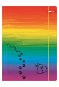 Teczki i skoroszyty - Teczka z gumką A4 Miaow tęcza HAPPY COLOR - miniaturka - grafika 1