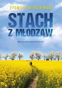 Stach Z Młodzaw Zygmunt Mierzwiński - Powieści - miniaturka - grafika 1