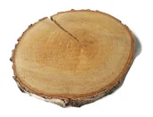 Dekoracje domu - Plaster drewna Brzoza nieszlifowana 20-25 cm / 2 cm - z pęknięciem - miniaturka - grafika 1