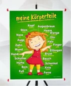 Pomoce naukowe - Plansza- MEINE KÖRPERTEILE - miniaturka - grafika 1