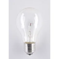 Pozostałe oświetlenie - Żarówka 40W A55 clear 42V - miniaturka - grafika 1