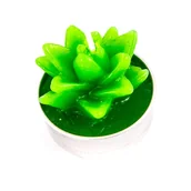 Świece - ŚWIECZKA OZDOBNA ROŚLINA podgrzewacz TEALIGHT - miniaturka - grafika 1