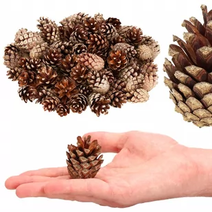 Szyszki sosnowe naturalne 500g szyszka dekoracyjna do stroików - Dekoracje domu - miniaturka - grafika 1