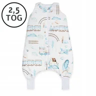Śpiworki dla dzieci - Śpiworek z nogawkami 86-104 M Całoroczny WZORY! - miniaturka - grafika 1