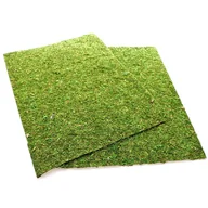 Akcesoria do terrarium - Repti-Zoo Natural Moss Tło I Podłoże Z Mchu 50X25 - miniaturka - grafika 1