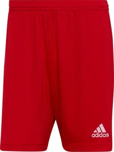 Adidas Spodenki adidas ENTRADA 22 Short H61735 H61735 czerwony L - Spodnie sportowe męskie - miniaturka - grafika 1