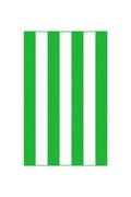 Ręczniki - Zwoltex Ręcznik plażowy 100x160 Neon Zielony 7954/6 - miniaturka - grafika 1