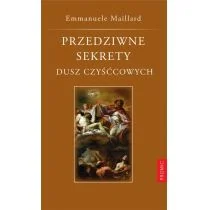 Przedziwne sekrety dusz czyśćcowych - Religia i religioznawstwo - miniaturka - grafika 1