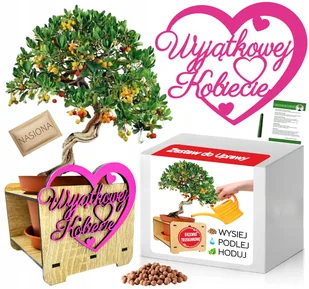 Zestaw Bonsai Drzewko Truskawkowe Dzień Kobiet - Nasiona i cebule - miniaturka - grafika 1