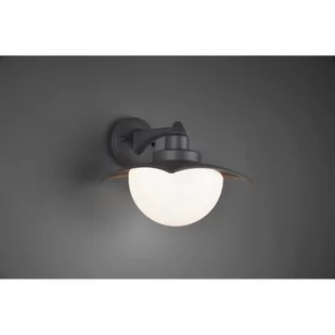 Trio DONEZ Antracyt E27 IP44 Kinkiet zewnętrzny 204960142 204960142 - Lampy ogrodowe - miniaturka - grafika 1