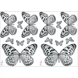 PLAGE Akcesoria i dekoracje, kolorowe - Fototapety - miniaturka - grafika 1