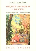 Albumy krajoznawcze - Między Niemnem a Dźwiną. Ziemia Wileńska i Nowogródzka - miniaturka - grafika 1