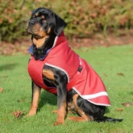 Ubranka dla psów - Bucas Derka dla psa 50g FREEDOM - chili red - miniaturka - grafika 1