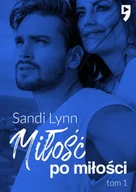 Literatura obyczajowa - Miłość po miłości. Tom 1 - Sandi Lynn - miniaturka - grafika 1