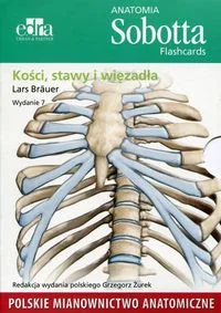 Edra Urban & Partner Anatomia Sobotta Flashcards Kości stawy i więzadła - Brauer Lars - Książki medyczne - miniaturka - grafika 2