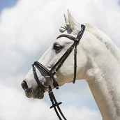 Ogłowia - Kieffer Ogłowie z nachrapnikiem angielskim kombinowanym ULTRASOFT FASHION - miniaturka - grafika 1