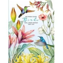 Notatnik ozdobny 165x238/80K kratka Kolibry Nowa - Pedagogika i dydaktyka - miniaturka - grafika 1