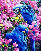 Dekoratorstwo - Haft Diamentowy Niebieskie Kakadu 45x55 cm K - miniaturka - grafika 1