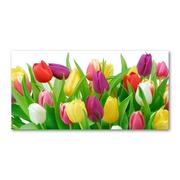 Obrazy i zdjęcia na płótnie - Foto obraz szklany Kolorowe tulipany - miniaturka - grafika 1